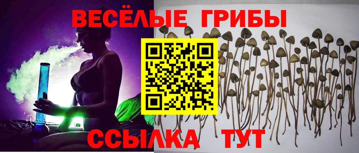 Псилоцибиновые грибы мухоморы Медногорск