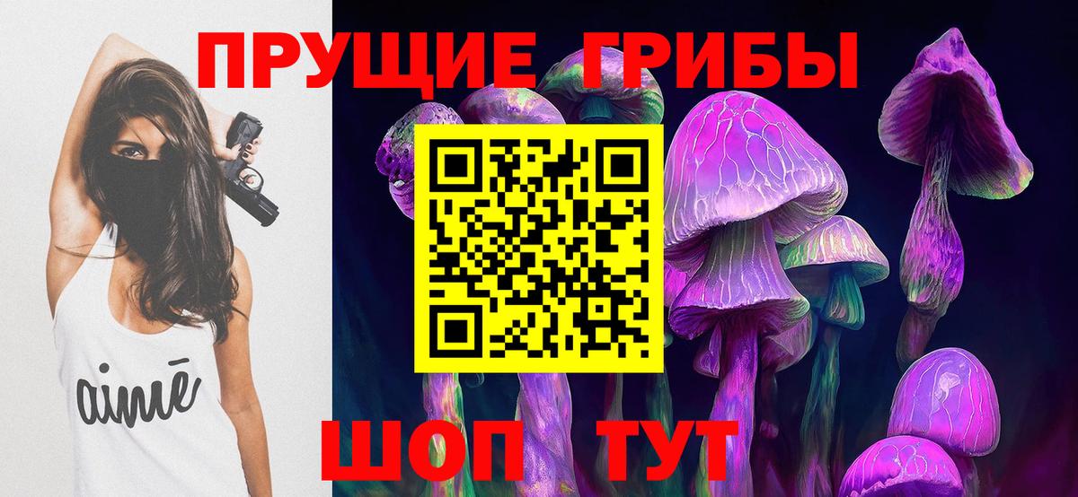 Галлюциногенные грибы Psilocybe  дарнет шоп  Вход с VPN  Медногорск  Галлюциногенные грибы GOLDEN TEACHER 